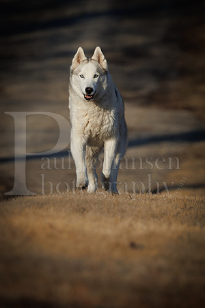 Kato's 13th Birthday Photo Shoot 3-3-2025-0026