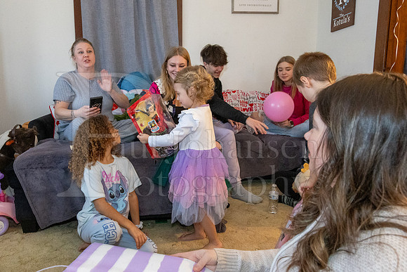 Brinley's 3rd Birthday Party 2-9-2025-1677