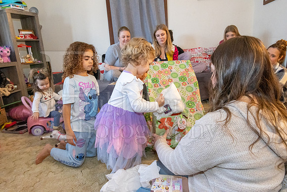 Brinley's 3rd Birthday Party 2-9-2025-1623