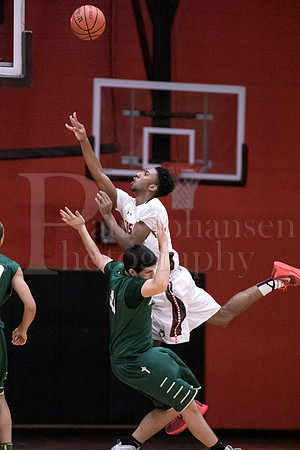 Boylan Boys Varsity Basketball vs Harlem 1-29-2016-0012
