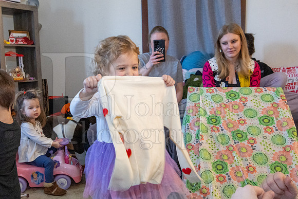 Brinley's 3rd Birthday Party 2-9-2025-1629