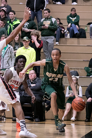 Boylan Boys Varsity Basketball vs Harlem 1-29-2016-0402