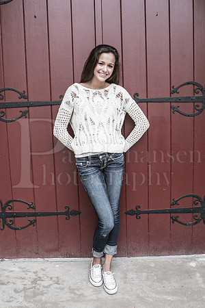 Gina Mehringer Senior Images 10-24-2015-0254