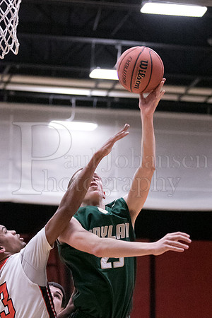 Boylan Boys Varsity Basketball vs Harlem 1-29-2016-0183