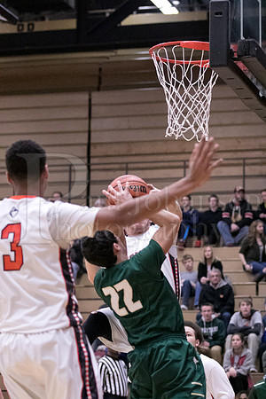 Boylan Boys Varsity Basketball vs Harlem 1-29-2016-0046