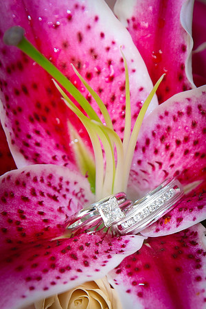 Troyer Wedding-8277