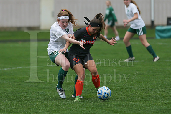 Boylan Girls Varsity Soccer vs Freeport 5-3-2018-2029