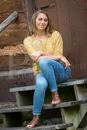 Anna Sharp Senior Images 10-12-2015-10139