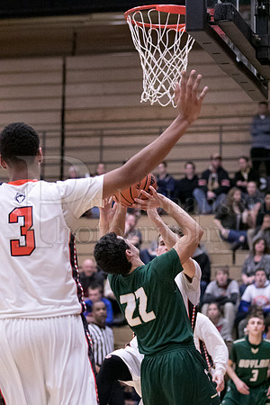 Boylan Boys Varsity Basketball vs Harlem 1-29-2016-0048