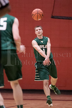 Boylan Boys Varsity Basketball vs Harlem 1-29-2016-0088