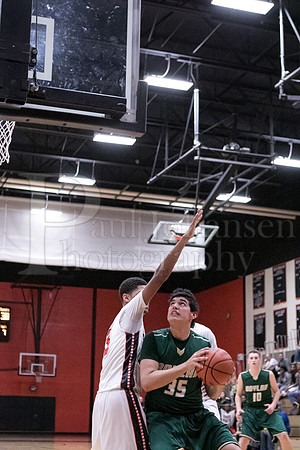 Boylan Boys Varsity Basketball vs Harlem 1-29-2016-0208