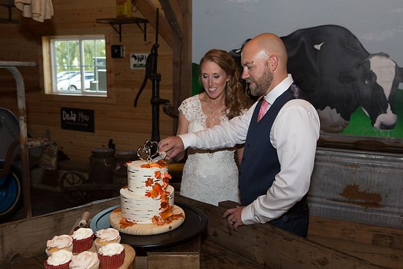 Bauman Stith Wedding 7-15-2017-1819