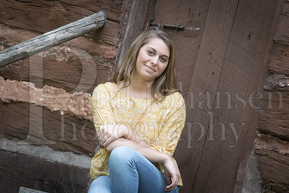 Anna Sharp Senior Images 10-12-2015-10140