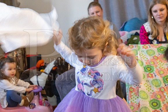 Brinley's 3rd Birthday Party 2-9-2025-1626