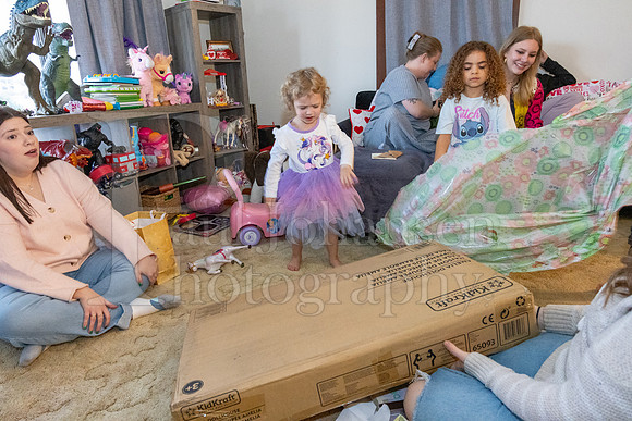 Brinley's 3rd Birthday Party 2-9-2025-1640