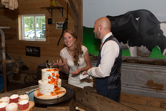 Bauman Stith Wedding 7-15-2017-1844