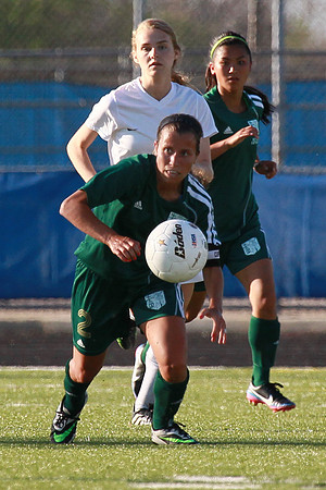 Boylan Girls Varsity Soccer vs Lk Forest SuperSectional 6-3-2014-1887