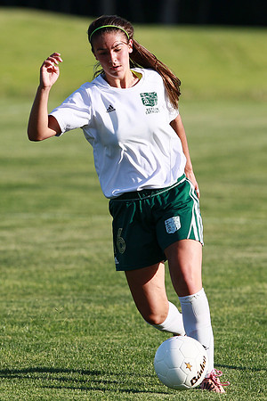 Boylan Girls Varisty Soccer vs Dekalb Sectional Final 5-30-2104-0352