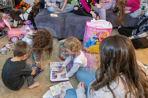 Brinley's 3rd Birthday Party 2-9-2025-1658