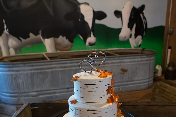 Bauman Stith Wedding 7-15-2017-1542