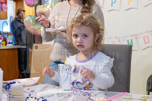 Brinley's 3rd Birthday Party 2-9-2025-1768