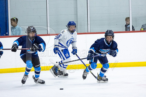 Rockford Hockey Club vs Mammoth 10-27-2024-0457