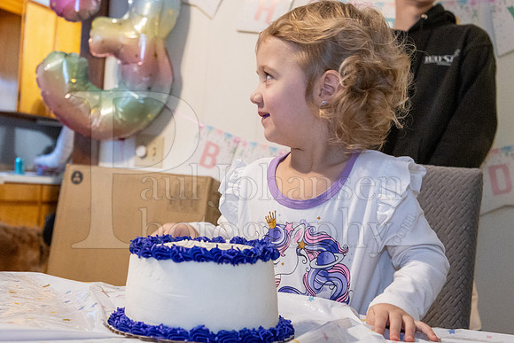 Brinley's 3rd Birthday Party 2-9-2025-1762