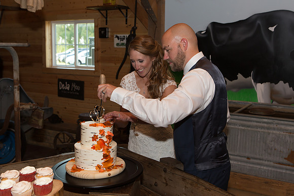 Bauman Stith Wedding 7-15-2017-1831