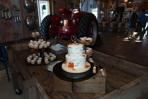 Bauman Stith Wedding 7-15-2017-1553