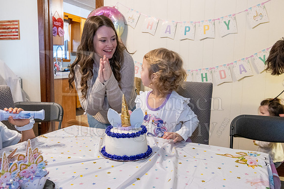 Brinley's 3rd Birthday Party 2-9-2025-1740
