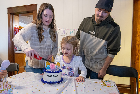 Brinley's 3rd Birthday Party 2-9-2025-1712
