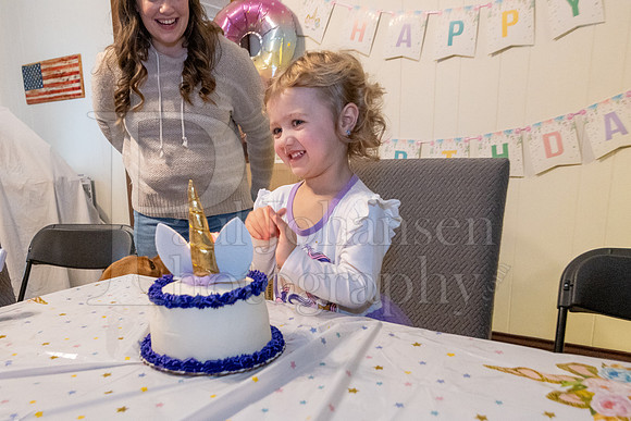 Brinley's 3rd Birthday Party 2-9-2025-1722