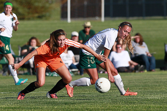 Boylan Girls Varisty Soccer vs Dekalb Sectional Final 5-30-2104-0197