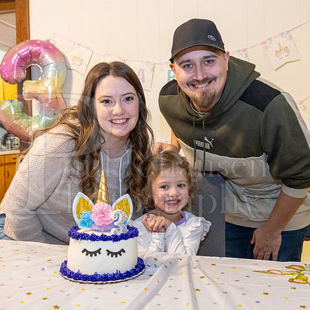Brinley's 3rd Birthday Party 2-9-2025-1701