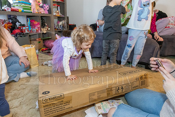 Brinley's 3rd Birthday Party 2-9-2025-1642