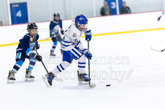 Rockford Hockey Club vs Mammoth 10-27-2024-1268