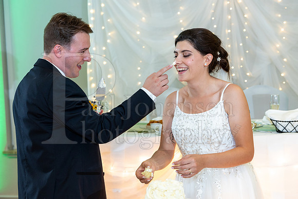 Delehanty Wedding 3-2024-1542