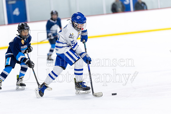 Rockford Hockey Club vs Mammoth 10-27-2024-1267