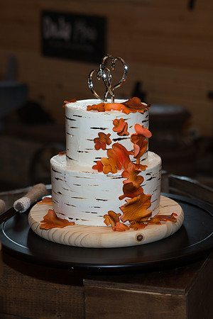 Bauman Stith Wedding 7-15-2017-1550