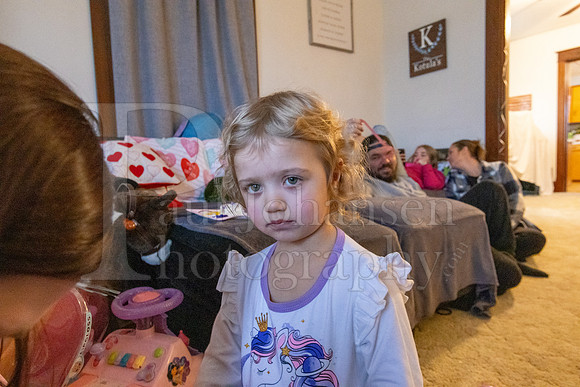 Brinley's 3rd Birthday Party 2-9-2025-1776