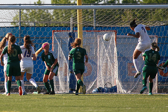 Boylan Girls Varsity Soccer vs Lk Forest SuperSectional 6-3-2014-1770
