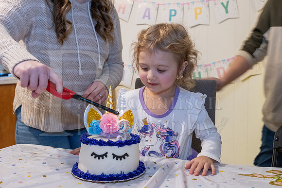 Brinley's 3rd Birthday Party 2-9-2025-1713