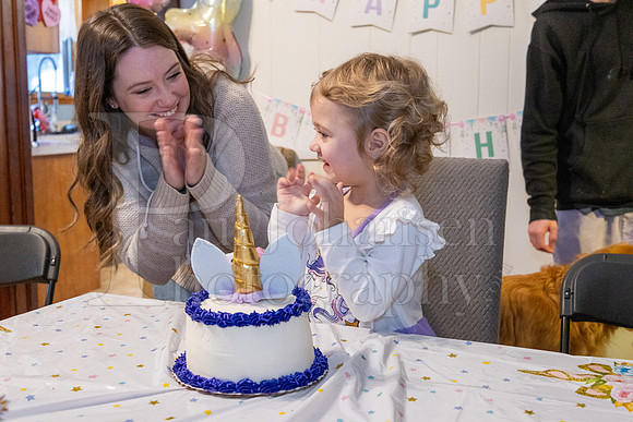 Brinley's 3rd Birthday Party 2-9-2025-1747