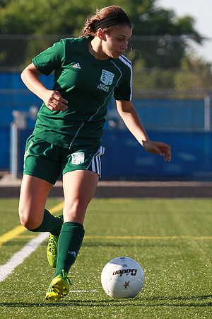 Boylan Girls Varsity Soccer vs Lk Forest SuperSectional 6-3-2014-1491