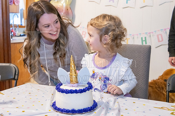 Brinley's 3rd Birthday Party 2-9-2025-1743