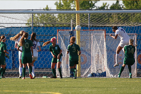 Boylan Girls Varsity Soccer vs Lk Forest SuperSectional 6-3-2014-1771