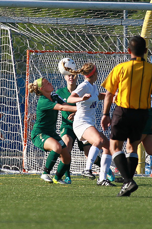 Boylan Girls Varsity Soccer vs Lk Forest SuperSectional 6-3-2014-1479