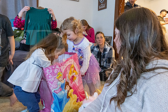 Brinley's 3rd Birthday Party 2-9-2025-1673