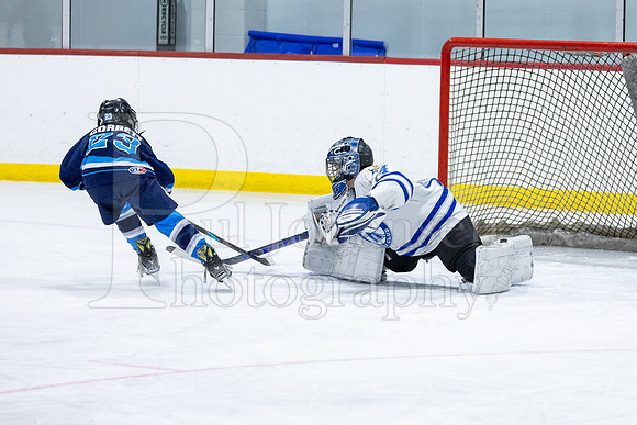 Rockford Hockey Club vs Mammoth 10-27-2024-0577