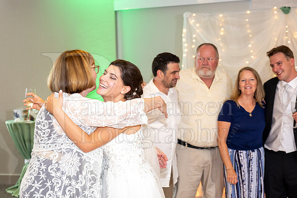Delehanty Wedding 3-2024-1598
